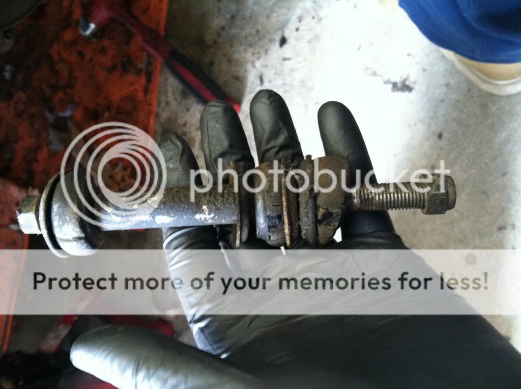 Posted Image