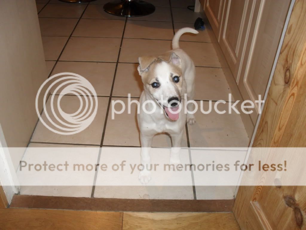 SAM_0914.jpg