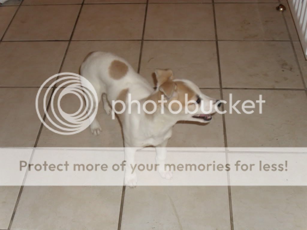 SAM_0920.jpg