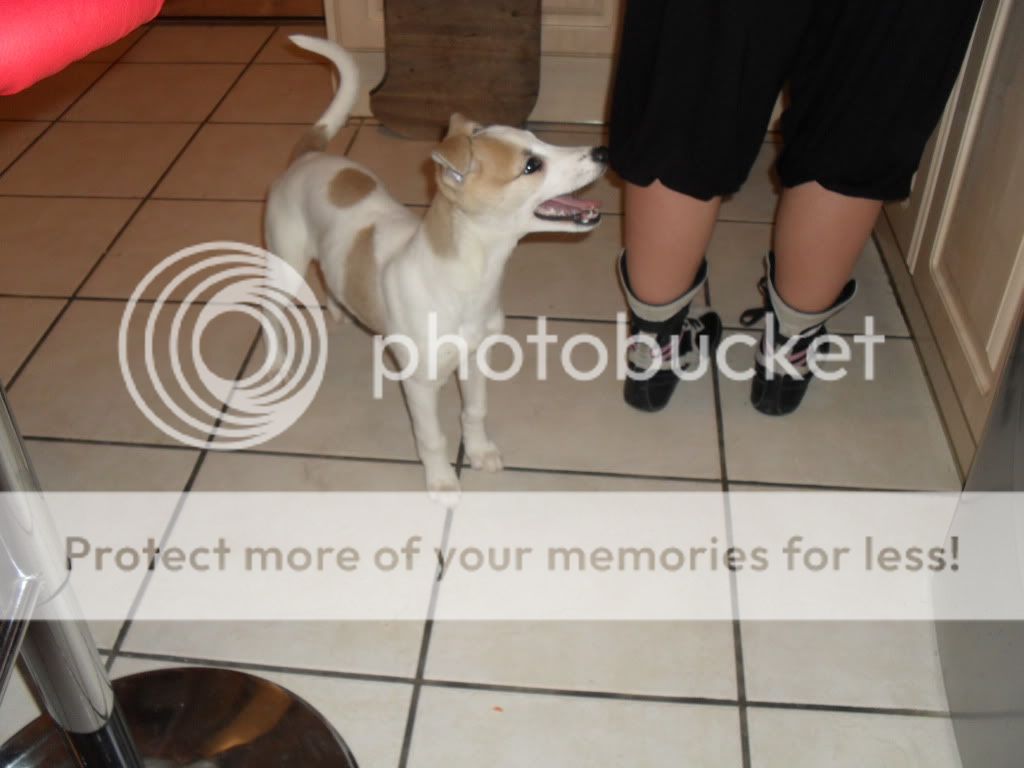 SAM_0935.jpg