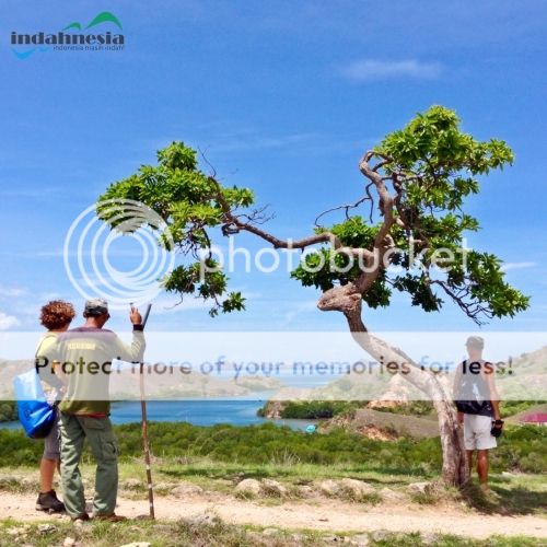 Pulau Komodo