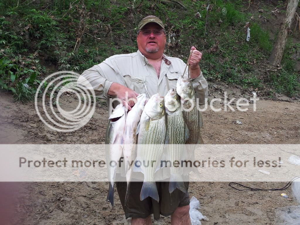 what lb test line is best for stripers? Texas Fishing Forum