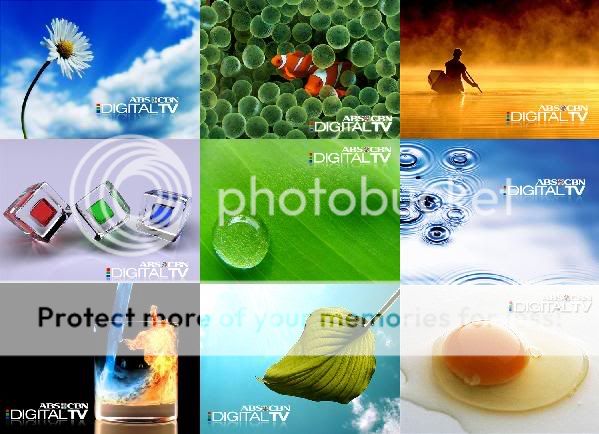 collage.jpg